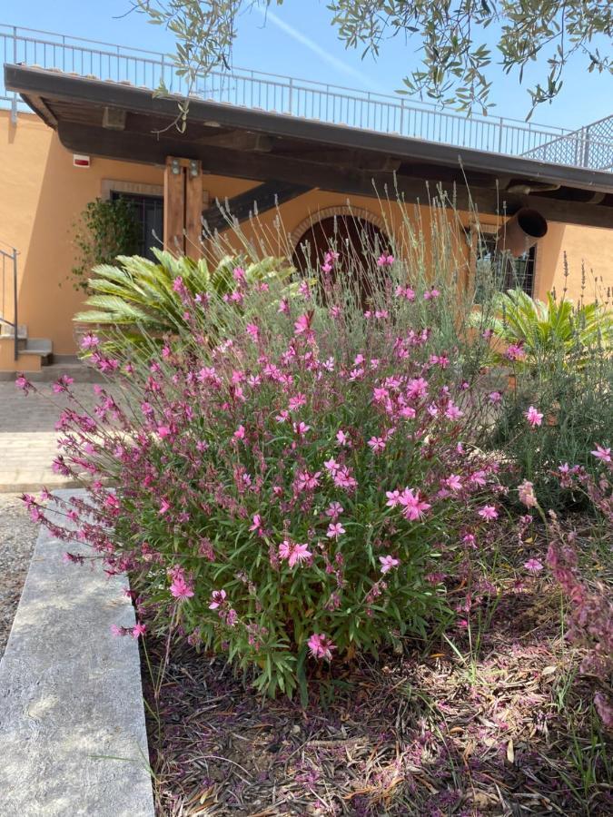 Agriturismo Il Borghetto Foce del Sele Exterior foto